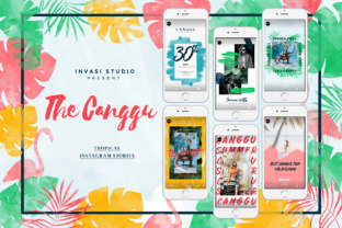Canggu Tropical Stories & Presentation Templates